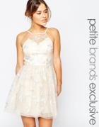 Chi Chi London Petite Embroidered Halter Prom Dress - Blush