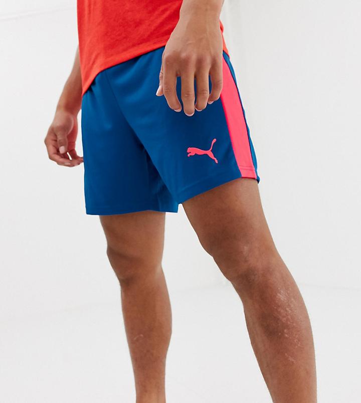 Puma Performance Shorts - Blue