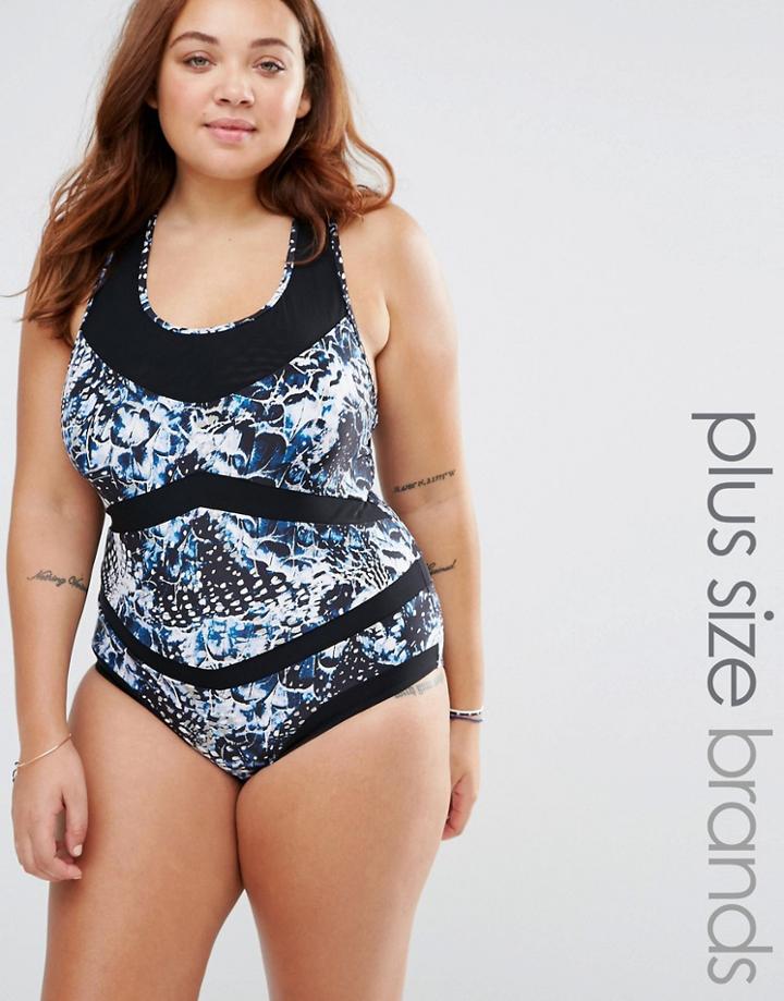Robyn Lawley Broken Wings Mesh Detail Swimsuit - Black