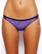 Insight Stingers Bikini Bottom - Purple