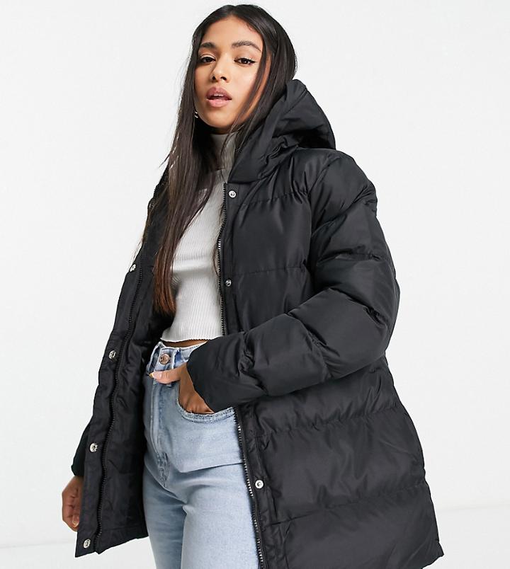 Threadbare Petite Hayley Mid Length Puffer Jacket In Black