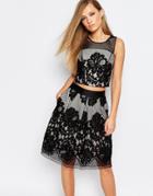Coast Fantasia Structured Crop Top In Lace - Black