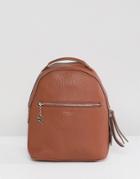 Fiorelli Anouk Mini Backpack In Tan - Tan