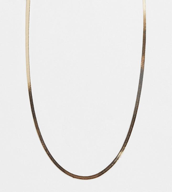 Asos Design Curve Necklace In 4mm Herringbone Chain In Gold Tone