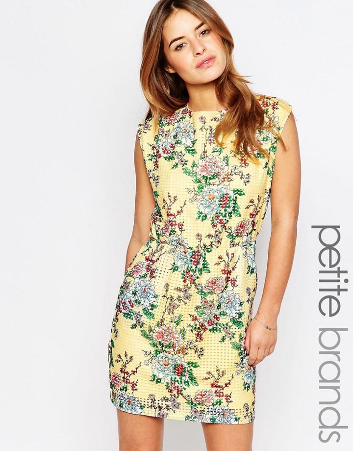 Vero Moda Petite Floral Print Skater Dress - Multi