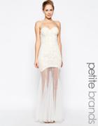Jarlo Petite Sydney Bandeau Lace Dress With Sheer Skirt - Ivory
