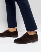 Zign Suede Derby Shoes In Brown - Brown