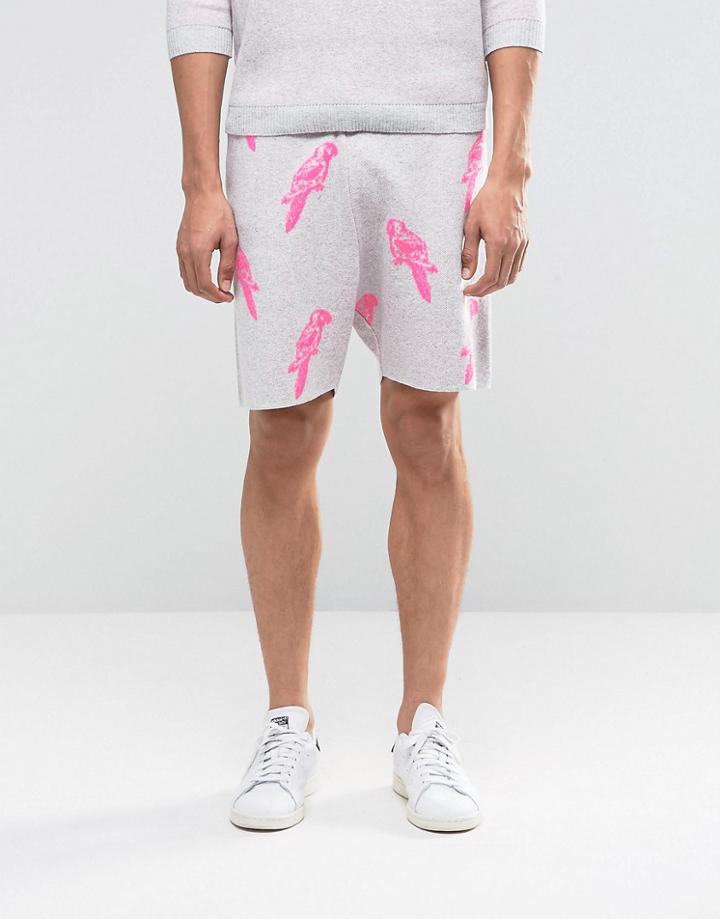Asos Knitted Shorts With Parrot Design - Gray