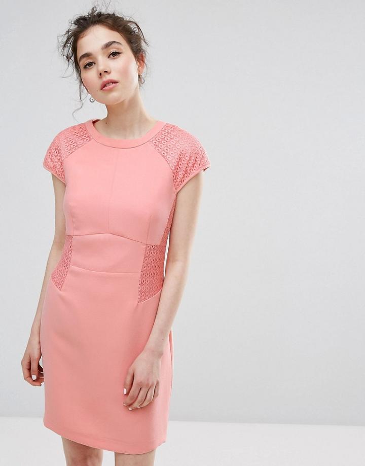 Oasis Lace Paneled Shift Dress - Pink