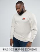 Ellesse Plus Sweatshirt With Small Logo - Stone