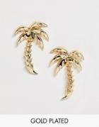 Asos Design Earrings In Palm Tree Design In Gold Tone - Gold