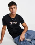 Hollister T-shirt With Box Logo In Black