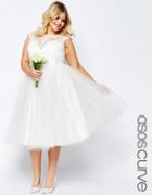 Asos Curve Bridal Lace Sweetheart Tutu Midi Dress - White