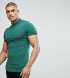Asos Tall Muscle Fit Jersey Polo In Green - Green