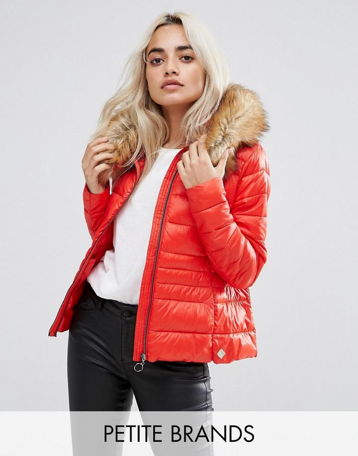 Vero Moda Petite Hooded Jacket - Multi