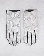 Barney's Originals Snake Print & Real Leather Gloves In Gray