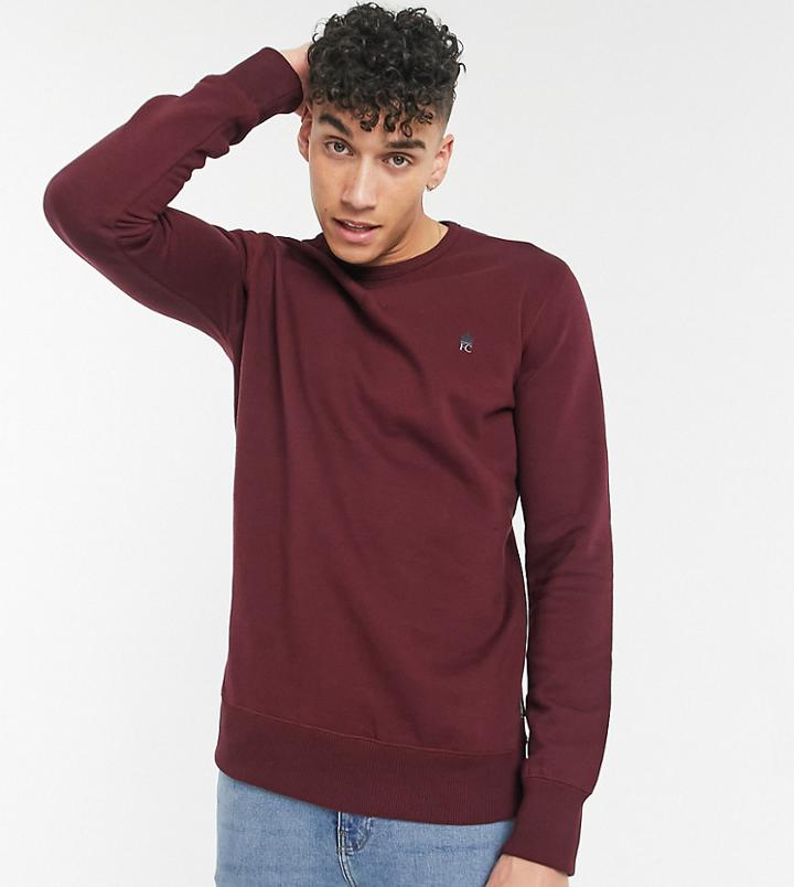 French Connection Tall Sweatshirt With Logo In Burgundy-red