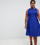 Lovedrobe Lace Skater Dress-blue