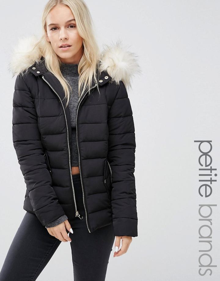 Miss Selfridge Petite Padded Jacket - Black