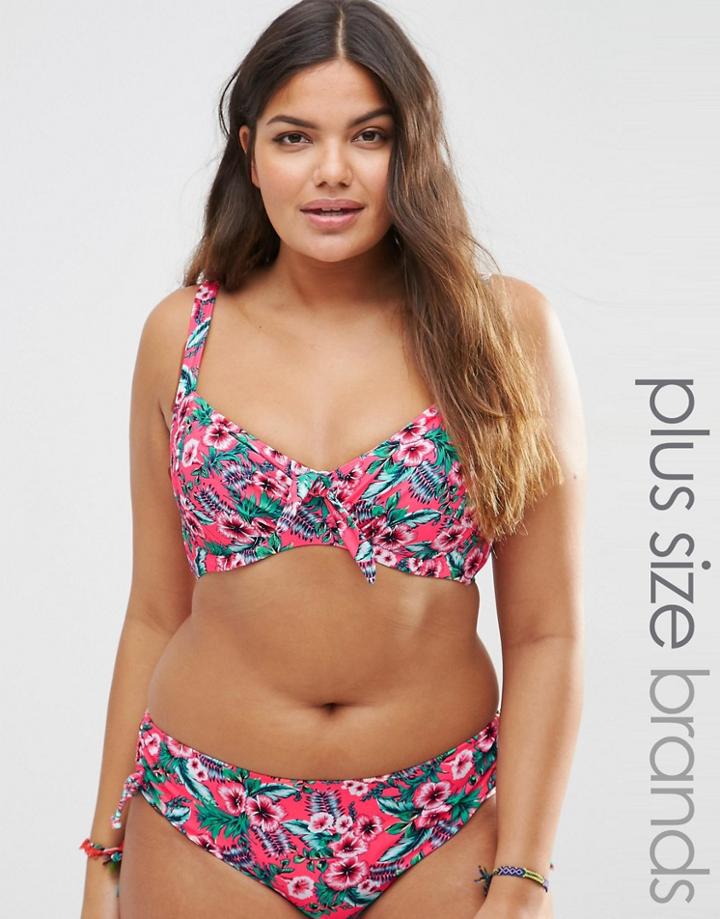 Marie Meili Gwendolen Plus Size Bikini Top - Pink