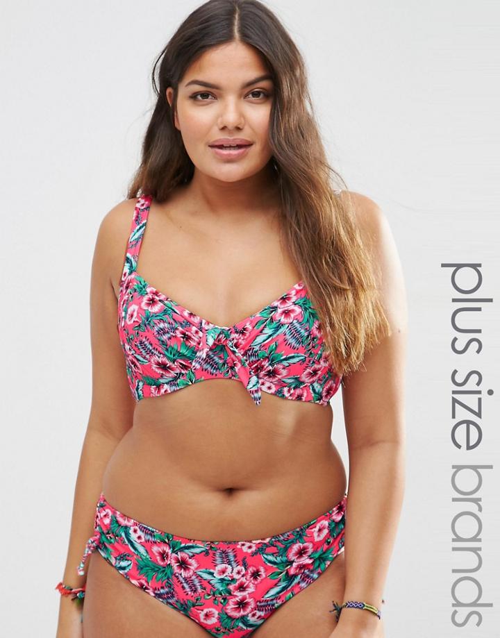 Marie Meili Gwendolen Plus Size Bikini Top - Pink