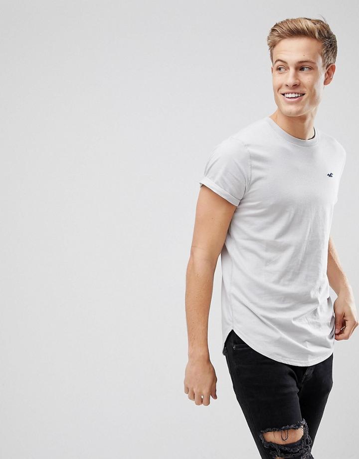 Hollister Curved Hem Crew Neck T-shirt Seagull Logo In Textural Gray - Gray