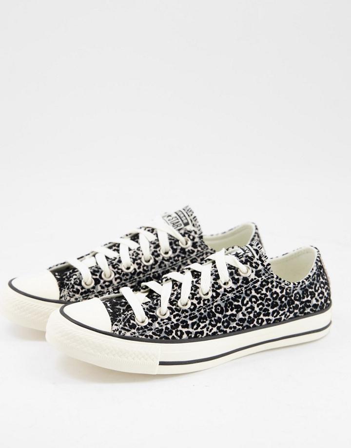 Converse Chuck All Taylor All Star Ox Snow Leopard Print Suede Sneakers In White-multi