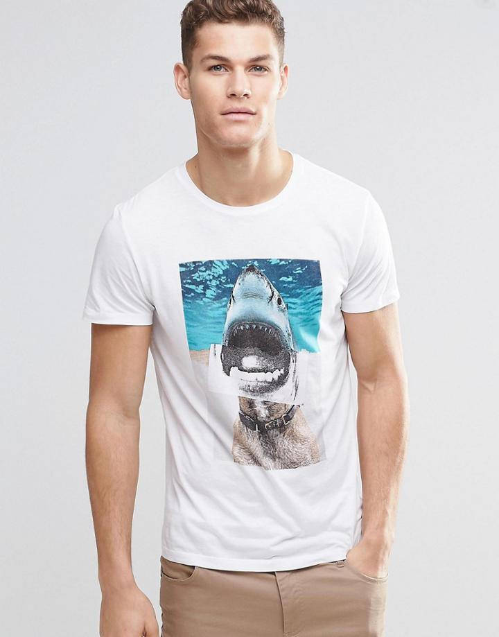Boss Orange T-shirt With Shark Dog Print In White - White