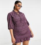 Lola May Plus Shift Dress In Purple Floral