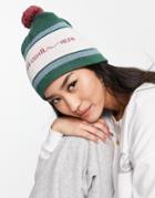 Quiksilver Nostalgic Land Beanie In Green/white
