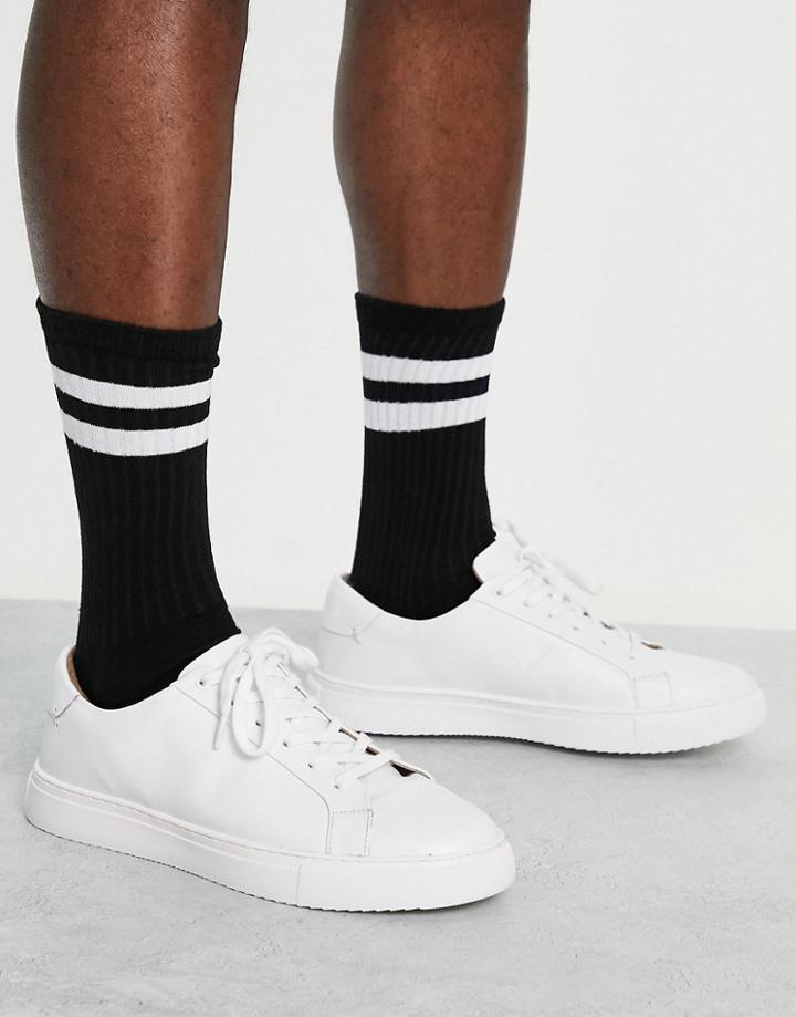 Schuh Walt Sneakers In White Leather