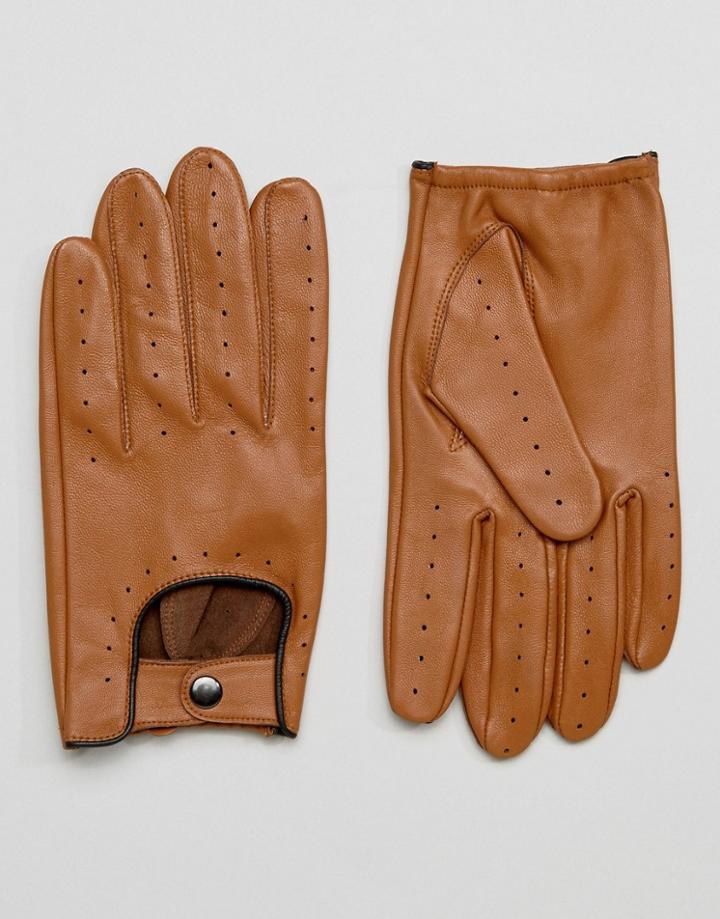 Barneys Driving Gloves In Tan - Tan
