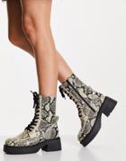 Asos Design Aliance Premium Leather Chunky Lace Up Boots In Snake-multi