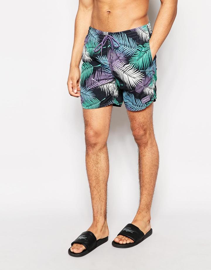 O'neill Palm Swim Shorts In Blue - Blue