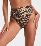 Asos Design Petite Mix And Match High Leg High Waist Bikini Bottom In Leopard Print-multi