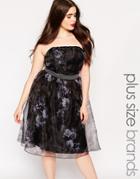 Little Mistress Plus Floral Printed Organza Skater Dress - Multi