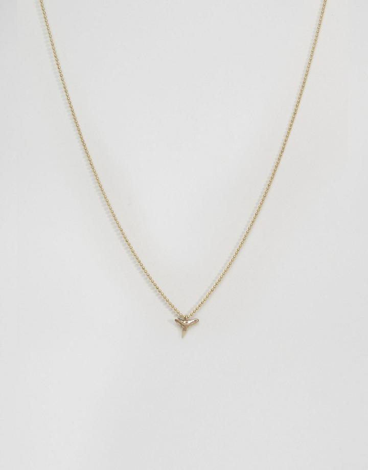 Sam Ubhi Shark Tooth Necklace - Gold