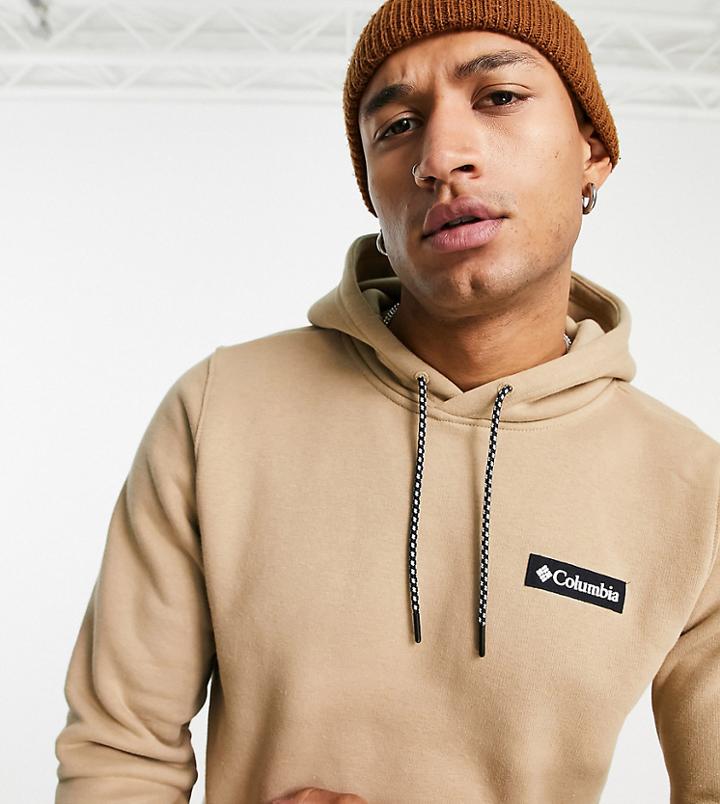Columbia Cliff Glide Hoodie In Brown - Exclusive To Asos