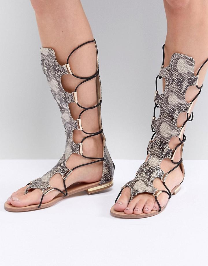 Morgan Knee High Gladiator Sandal-multi