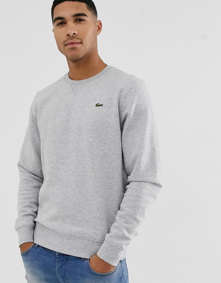 Lacoste Logo Crew Neck Sweat In Gray