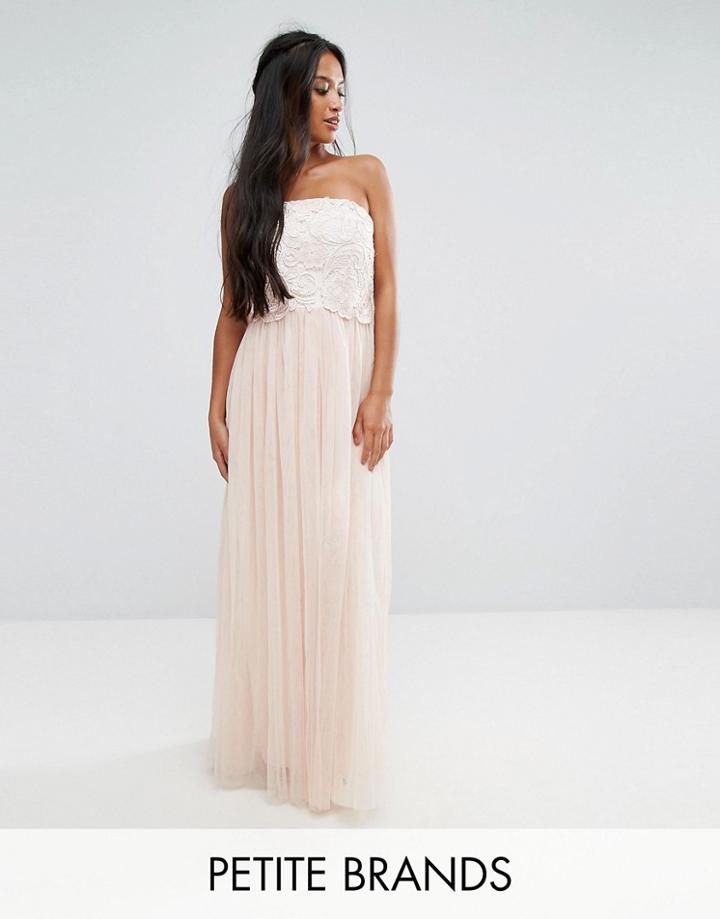 Little Mistress Petite Tulle Maxi Dress With Floral Applique Bodice - Cream