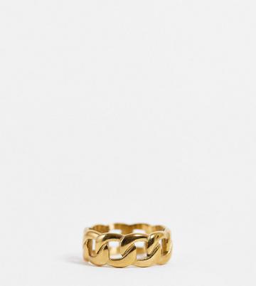Lost Souls Stainless Steel Curb Chain Ring In Gold