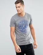 Esprit Crew Neck T-shirt With Print - Gray