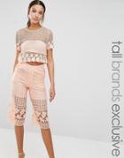 True Decadence Tall Mesh And Floral Lace Crop Top - Peach