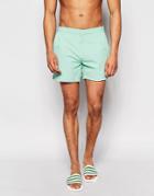 Threadbare Riviera Mint Swim Shorts - Green