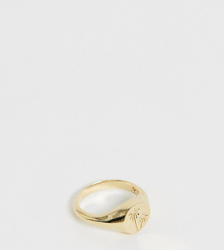 Orelia Gold Plated Embossed Palm Tree Signet Ring - Gold