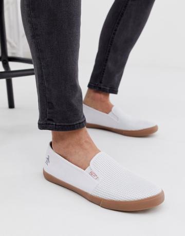Original Penguin Canvas Plimsoll In White - White