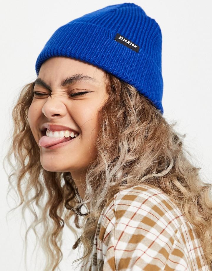 Dickies Woodworth Beanie In Blue