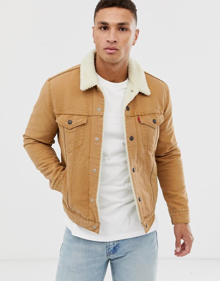 Levi's Type 3 Fleece Lined Canvas Trucker Jacket In Desert Boots Tan