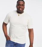 Le Breve Plus Muscle Fit T-shirt In Off-white